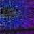 Third-Party Risk Is Your Biggest Security Blindspot